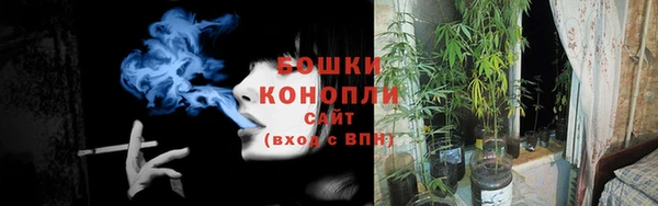 СК Кинешма